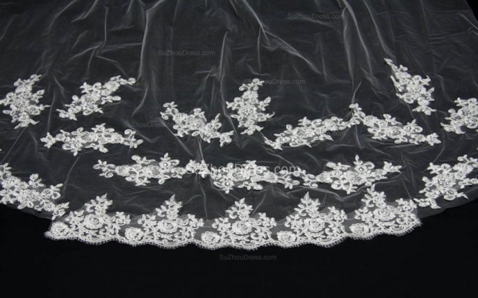 New Cathedral Length White Lace Wedding Accessories Latest Cheap