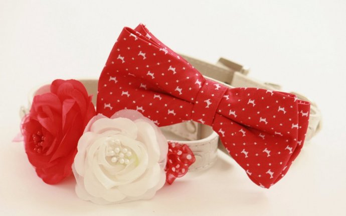 Red Wedding Dog Collars - Bridesmaid & Best Man - Wedding