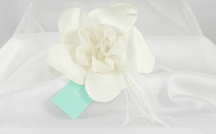 Used Wedding Accessories