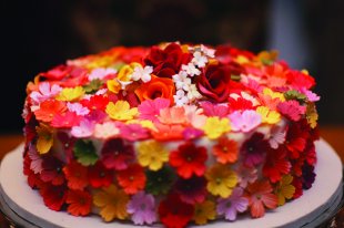 color-stories-3