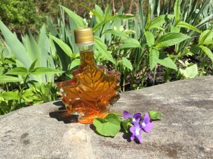 New York Maple wedding favors