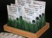 Personalized Seed Packets for Wedding Favors