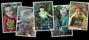 succulent wedding favors bulk wholesale prices